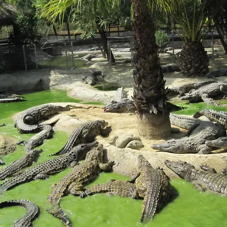 Nogalera 公寓 托雷莫利诺斯