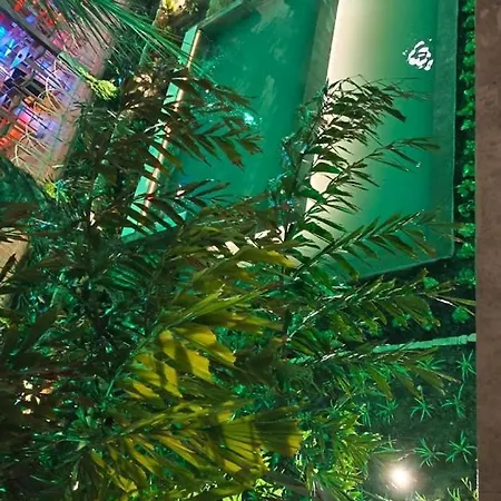 Nogalera Torremolinos