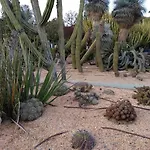 Nogalera