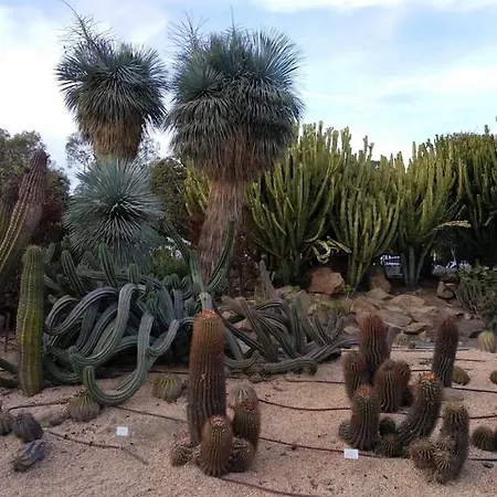 شقة Nogalera توريمولينوس