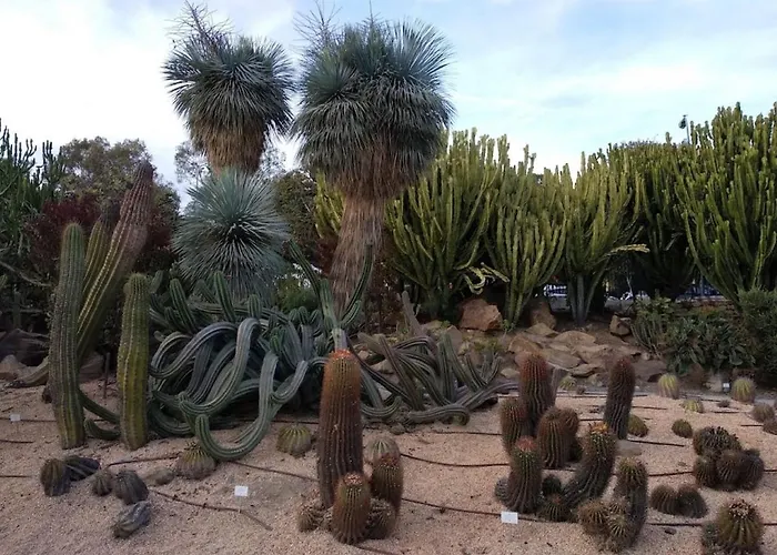 דירה Nogalera טורמולינוס